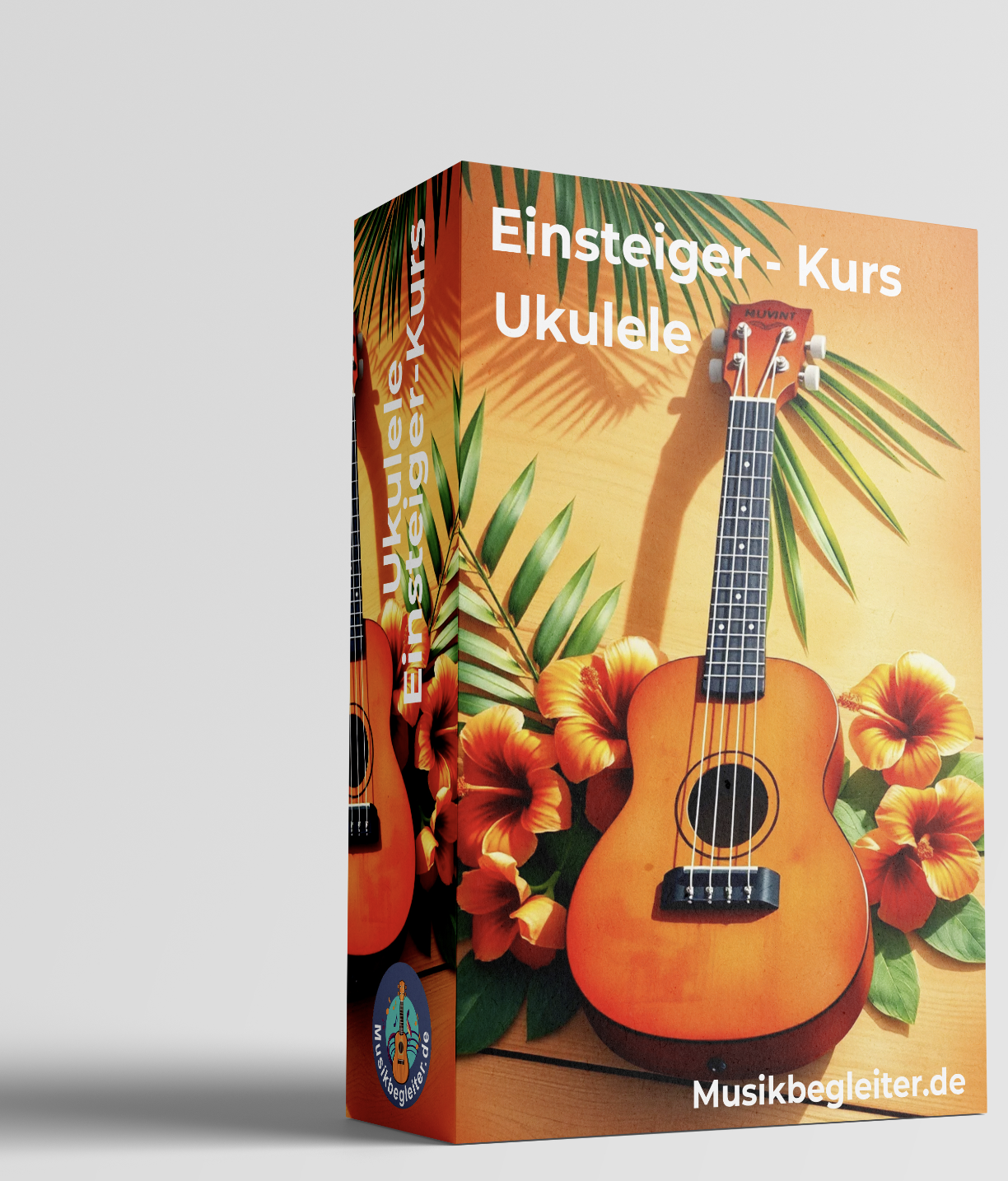 Ukulele Einsteiger-Kurs